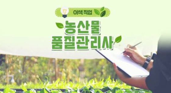 농산물품질관리사시험 완벽 가이드|응시자격·시험과목·합격 전략 총정리 1 농산물품질관리사시험