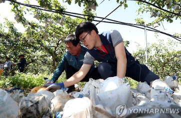 농작물손해평가사 완벽 가이드|시험 일정부터 취업 전망까지 한눈에 4 농작물손해평가사
